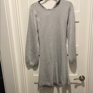 Jcrew Sparkling Silver long sleeve  Dress